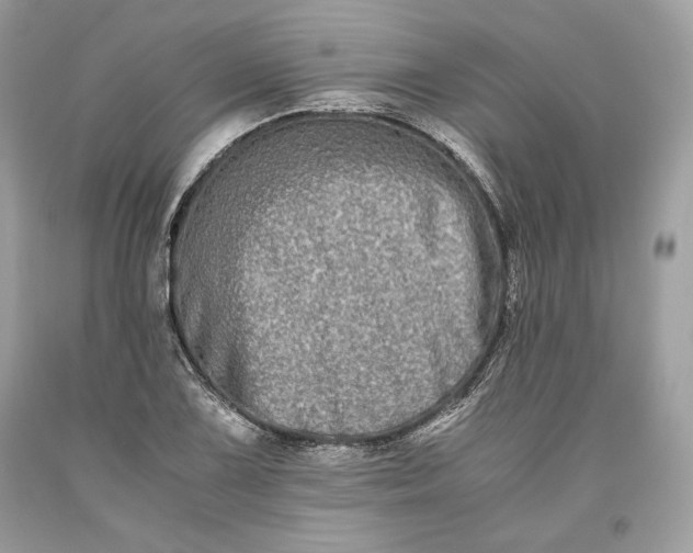 X0000093461075200710261015