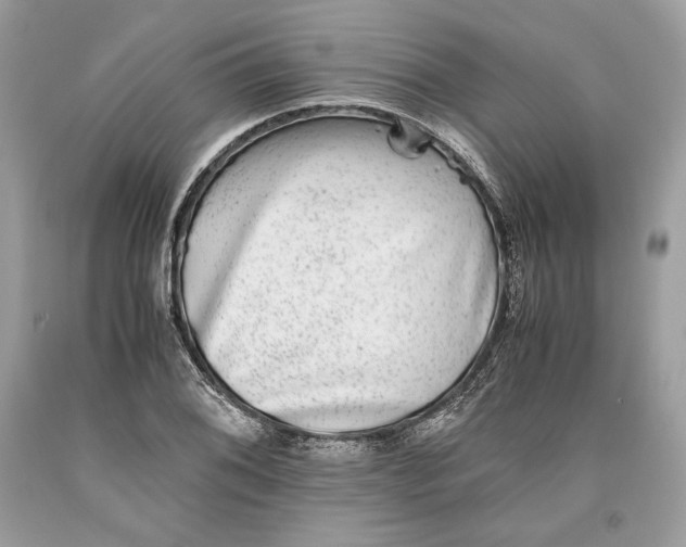 X0000093461076200710261015