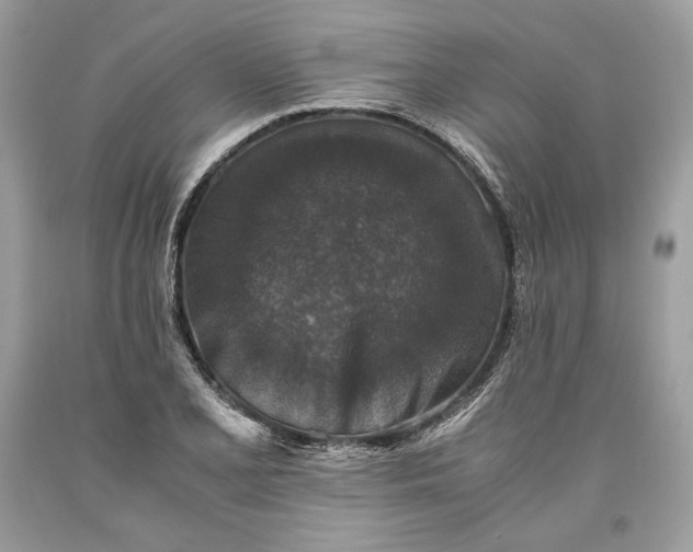 X0000093461077200710261015