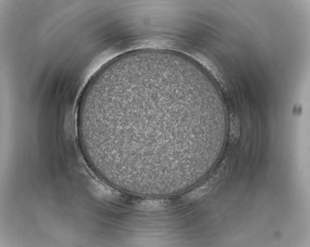 X0000093461078200710261015