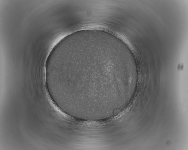 X0000093461079200710261015