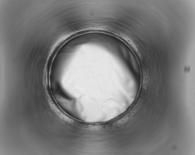 X0000093461080200710261015