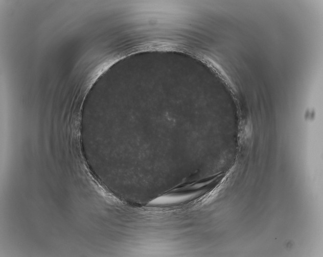 X0000093461081200710261015