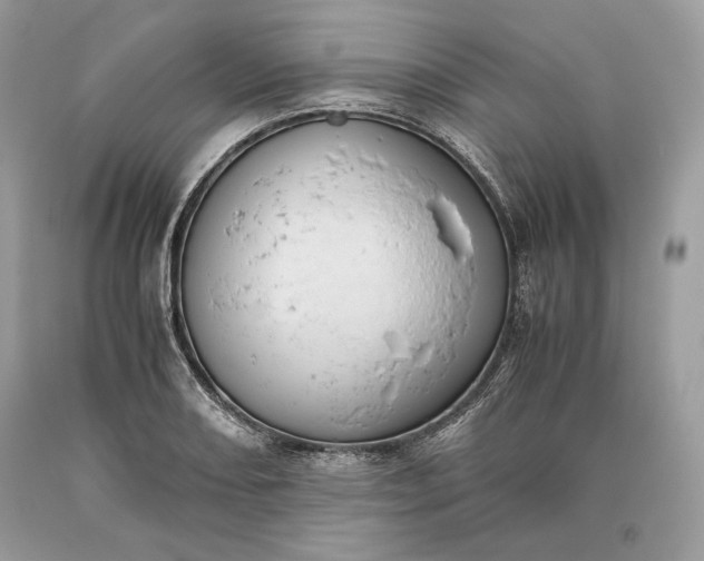 X0000093461082200710261015