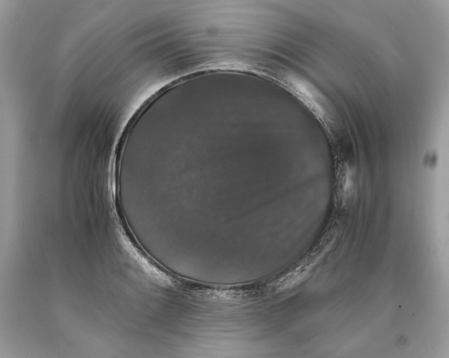 X0000093461084200710261015