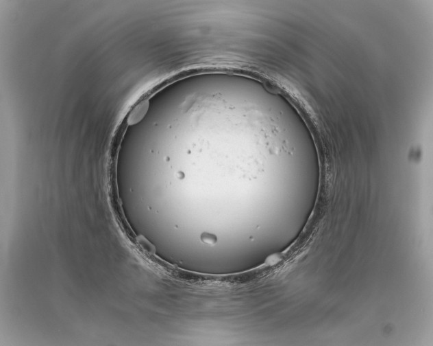 X0000093461085200710261015