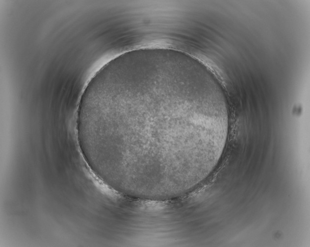 X0000093461086200710261015