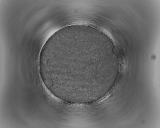 X0000093461087200710261015