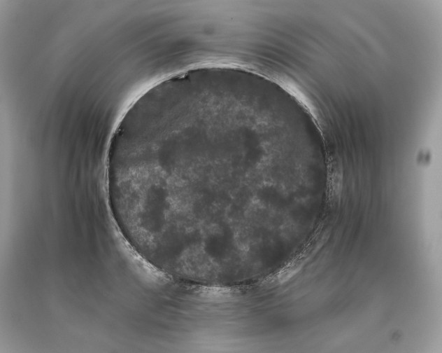 X0000093461088200710261015