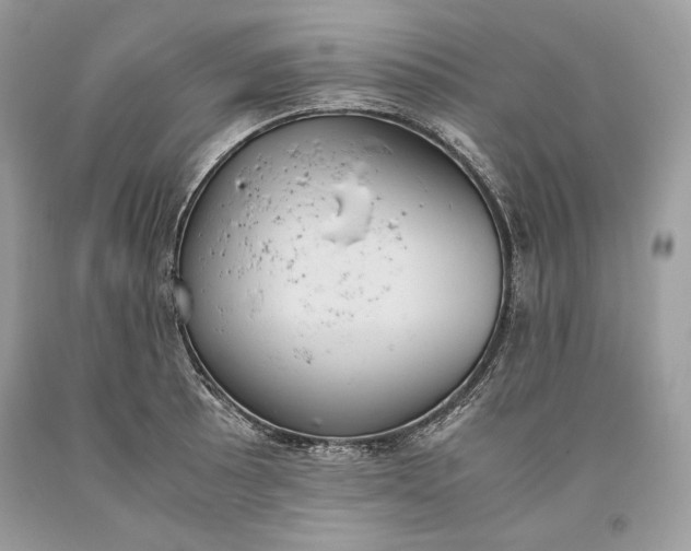 X0000093461089200710261015