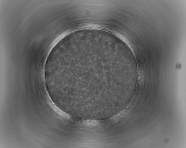 X0000093461090200710261015