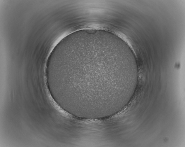 X0000093461091200710261015