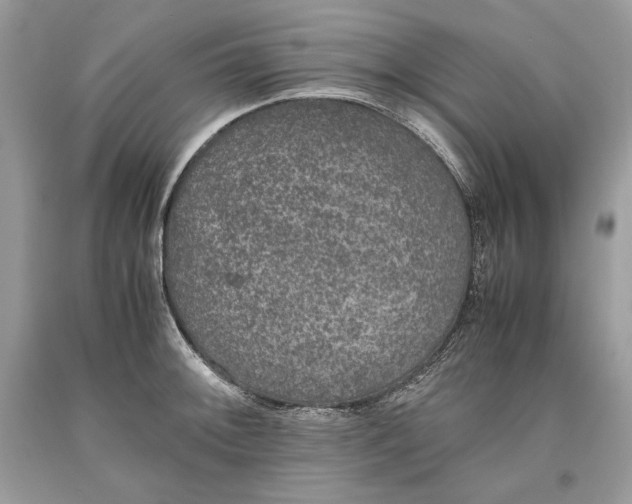 X0000093461092200710261015