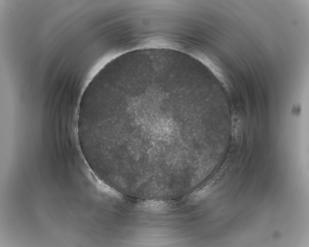 X0000093461094200710261015