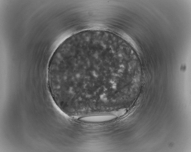 X0000093461095200710261015