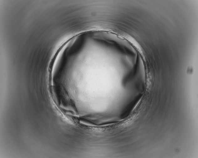 X0000093461096200710261015