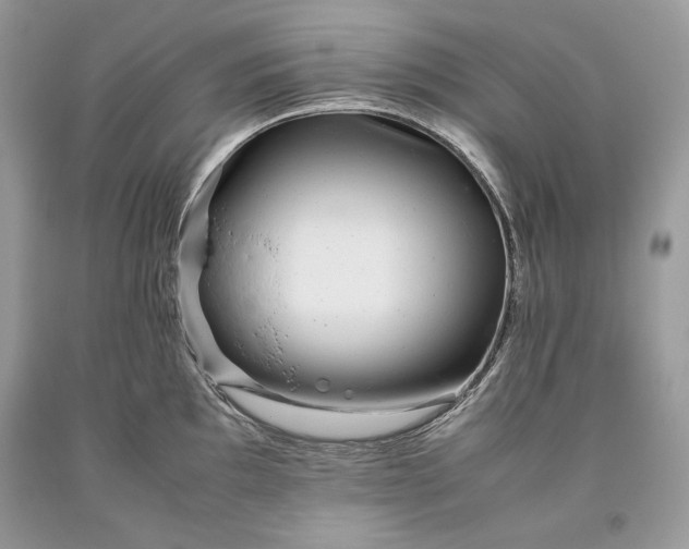 X0000093461097200710261015