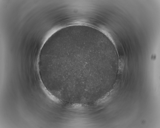 X0000093461098200710261015