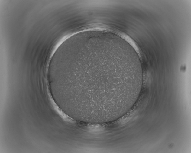 X0000093461099200710261015