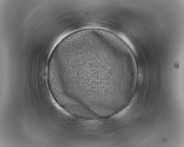 X0000093461100200710261015