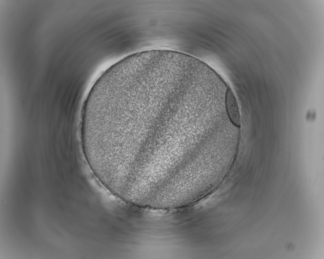 X0000093461104200710261015