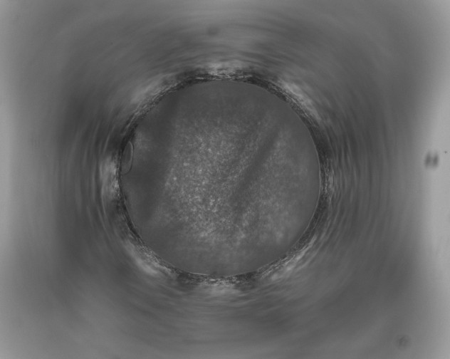 X0000093461106200710261014