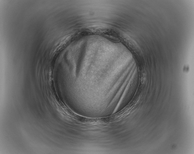 X0000093461108200710261014