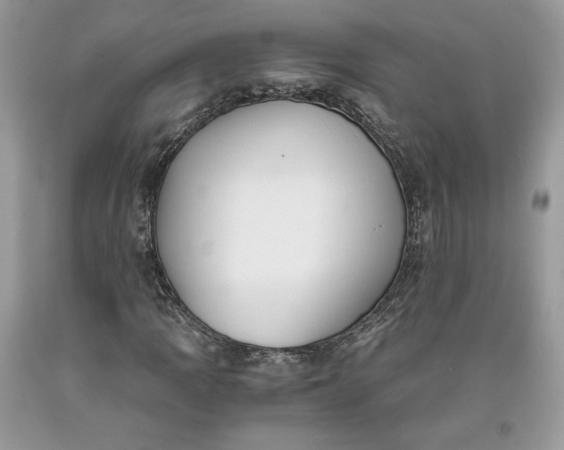 X0000093461109200710261014