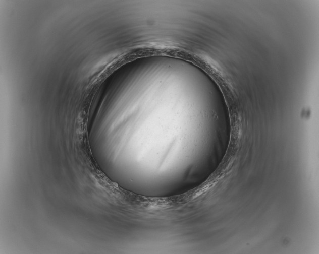 X0000093461110200710261014