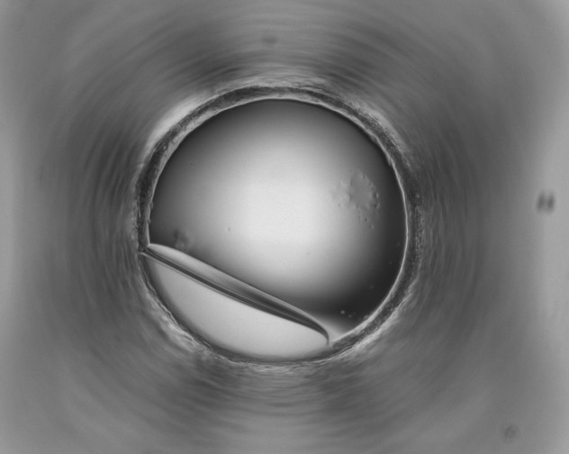 X0000093461114200710261014