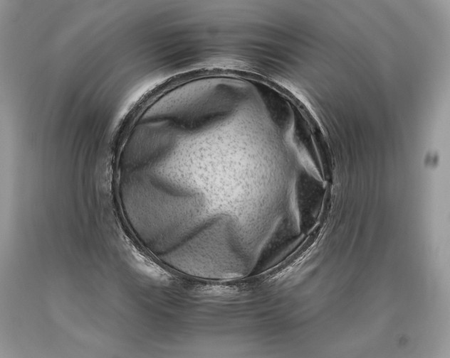 X0000093461115200710261014