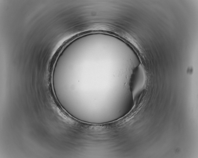 X0000093461116200710261014