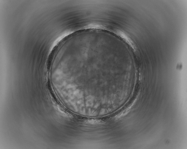 X0000093461117200710261014