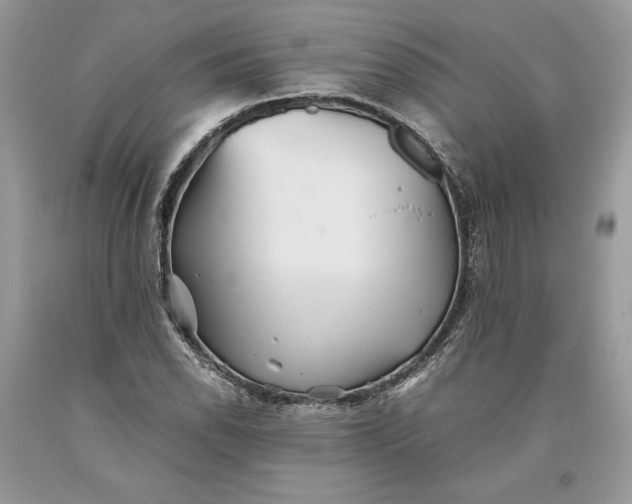 X0000093461118200710261014