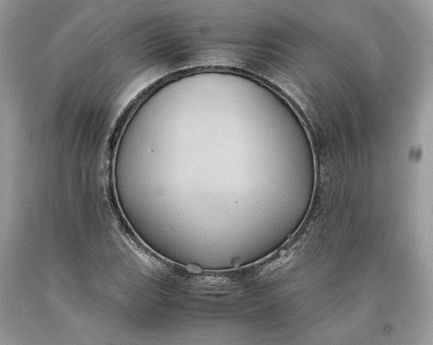 X0000093461119200710261015