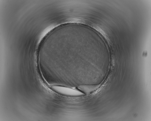 X0000093461120200710261015