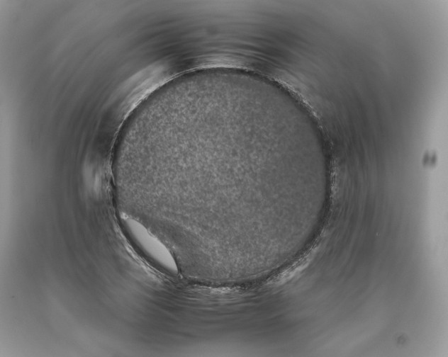 X0000093461121200710261015