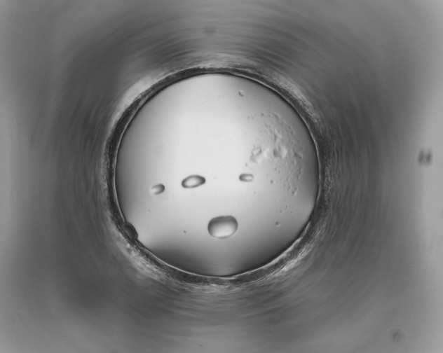 X0000093461122200710261015