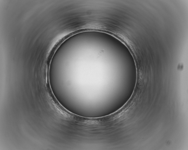 X0000093461123200710261015