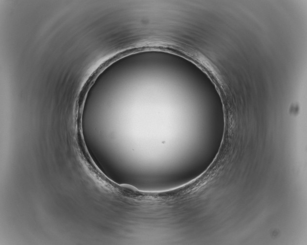 X0000093461124200710261015