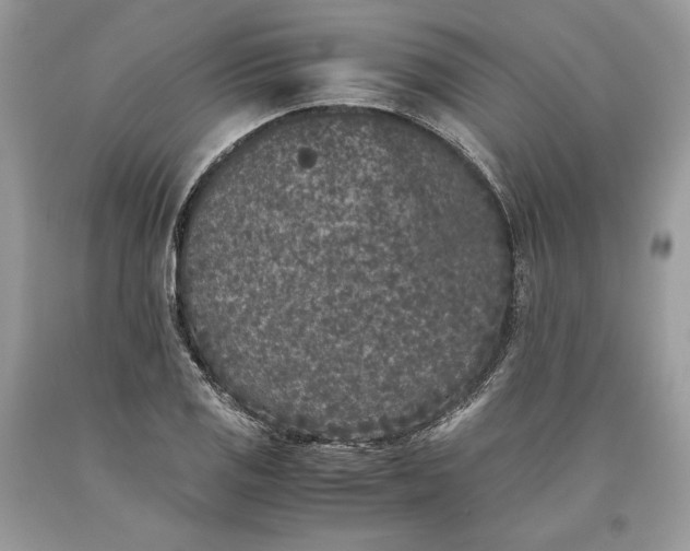 X0000093461125200710261015