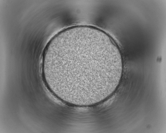 X0000093461126200710261015