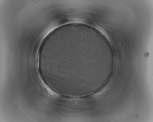 X0000093461127200710261015