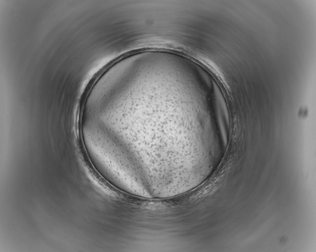 X0000093461128200710261015