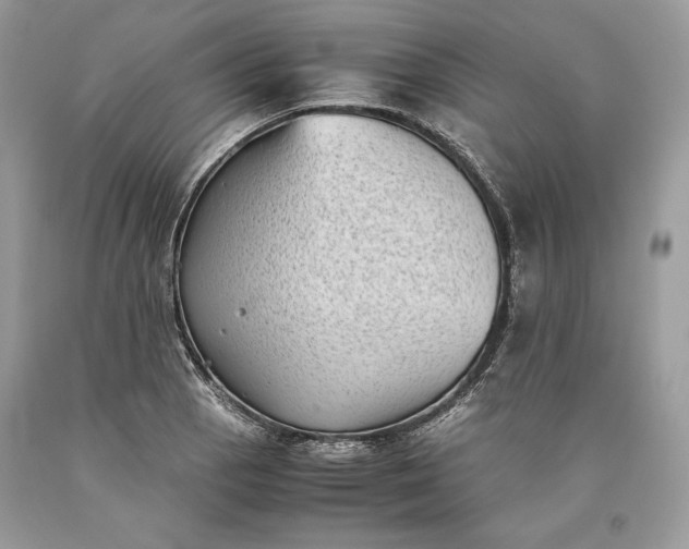 X0000093461129200710261015