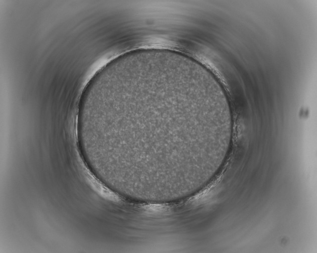 X0000093461130200710261015