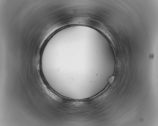 X0000093461131200710261015