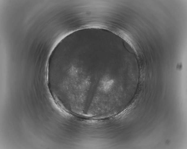 X0000093461132200710261015