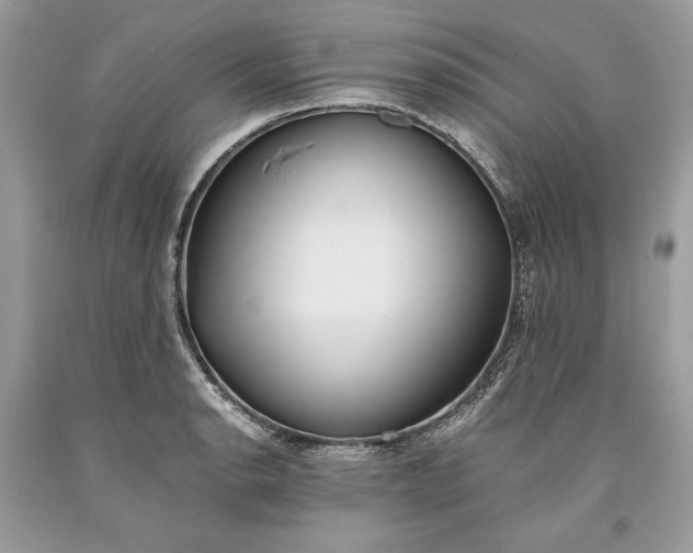 X0000093461134200710261015