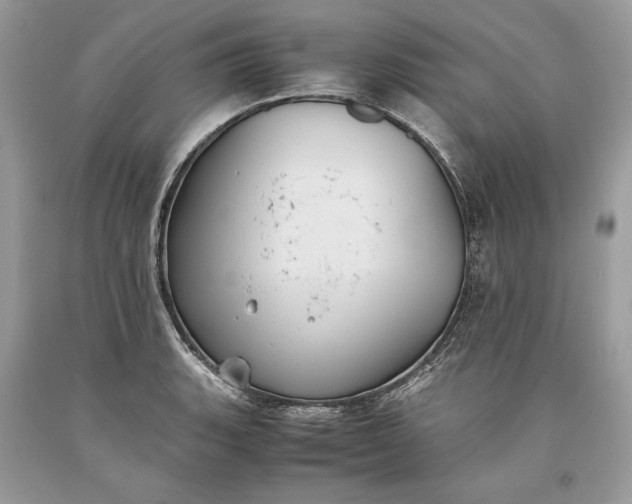 X0000093461135200710261015